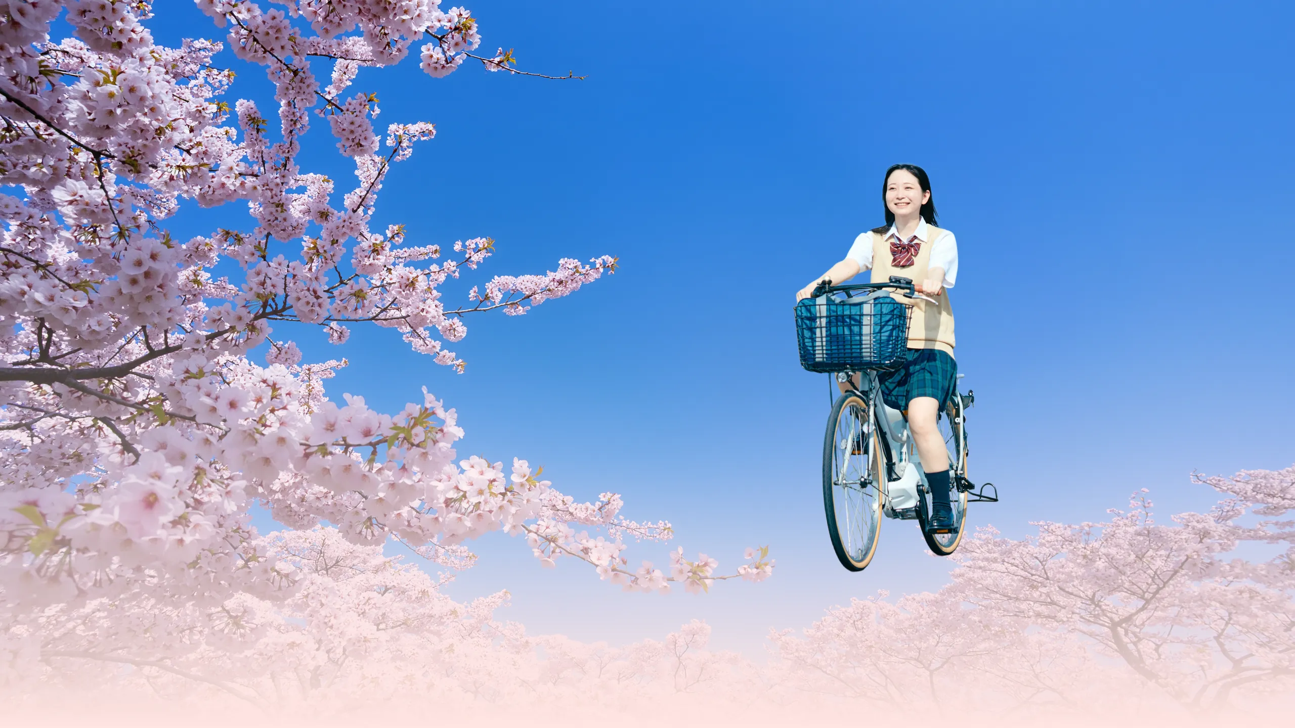 ノルーデ新生活応援キャンペーン